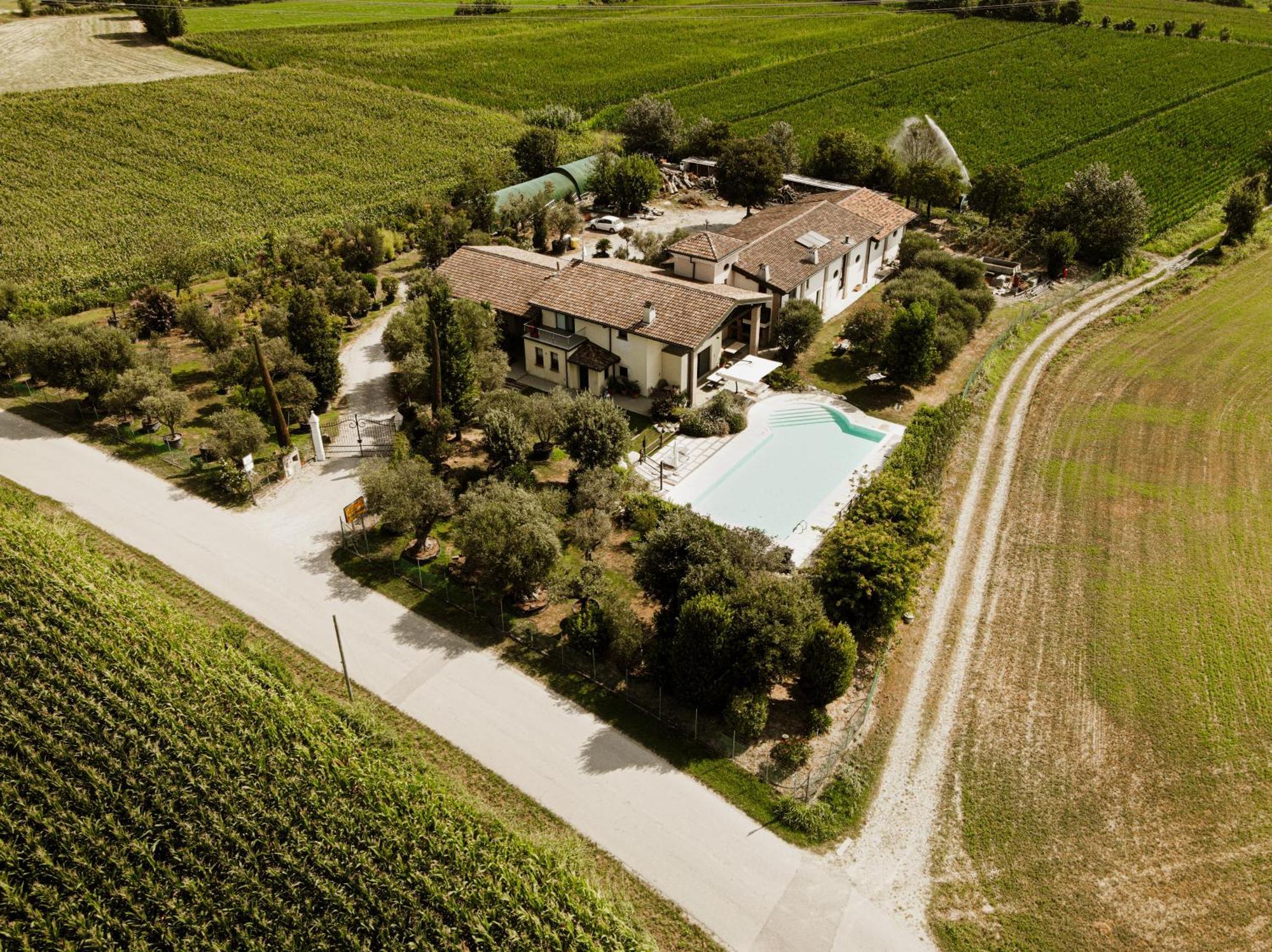 Agriturismo" Il Glicine Bianco" Monzambano Exterior photo