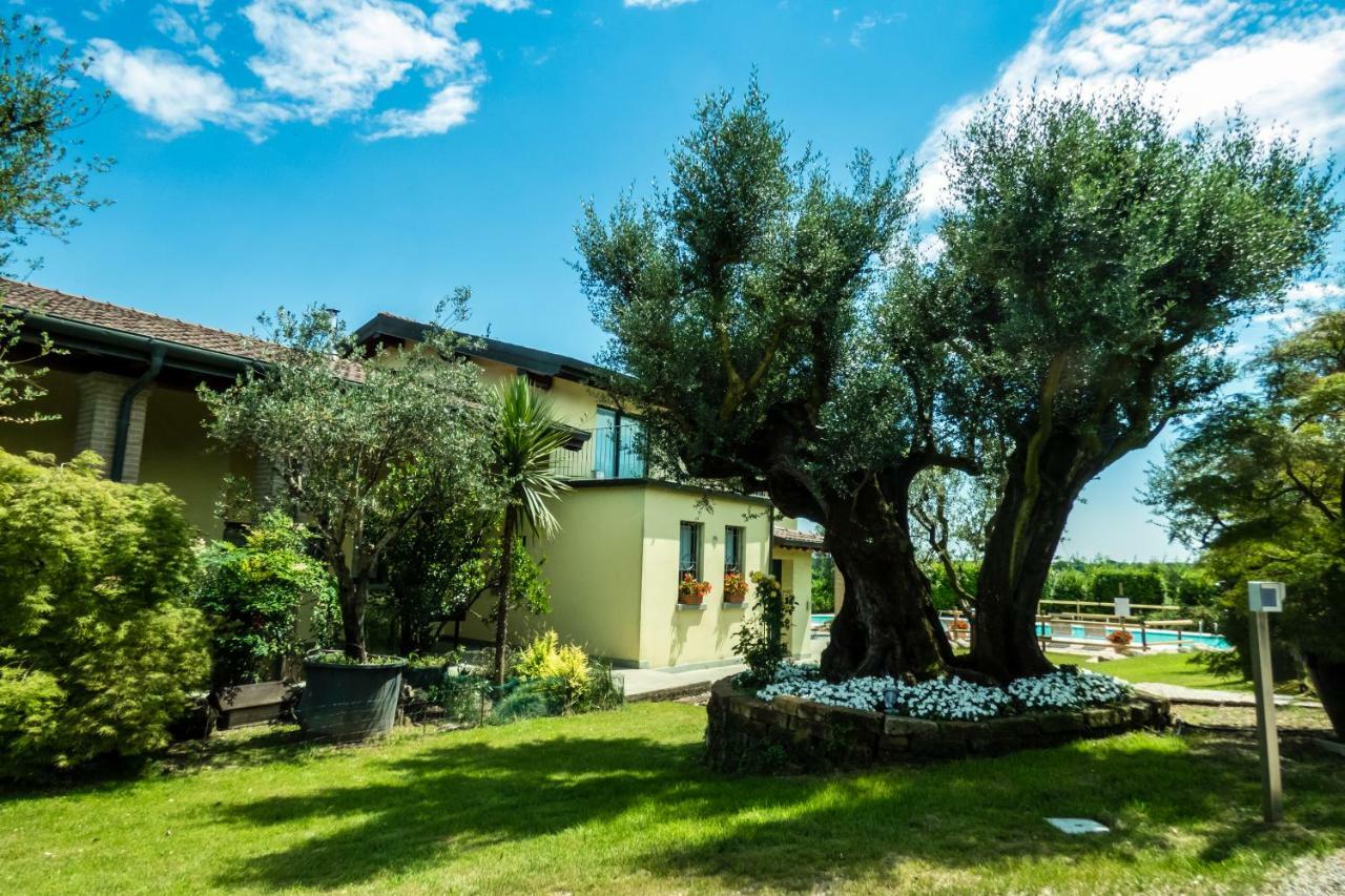 Agriturismo" Il Glicine Bianco" Monzambano Exterior photo